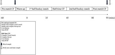 The Influence of a Competitive Field Hockey Match on Cognitive Function